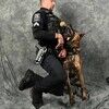 officerbensonpd
